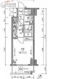 ＨＡＹＭＡＮＹＯＫＯＨＡＭＡ 502