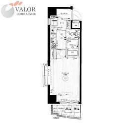 アヴァンツァーレ横浜子安 901