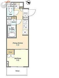 ドゥーエ横濱鶴見 0219 211