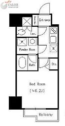 Ｄｏｒｍｏｕｓｅ　Ｆｉｎｅ 601