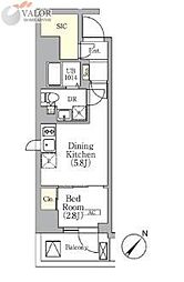 エル・セレーノ横浜関内デューエ 1002