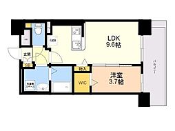 ＳＡＫＵＲＡ天神 901