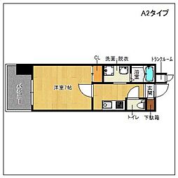 サヴォイ　テンジンスクワイヤー 1105