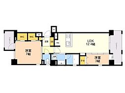 エスペランサ天神南 501