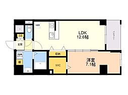 ベルコルティーレ 501