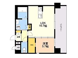 ＬＥＸＵＳ　ＧＡＲＤＥＮ箱崎タワーズＥＡＳＴ 1005