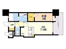 アクタス福岡県庁前グランネクスト 803