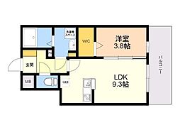 Ｌｉｖｅ　Ｃａｓａ高宮 302