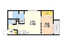 ｑｕａｄｏｒ姪浜 201