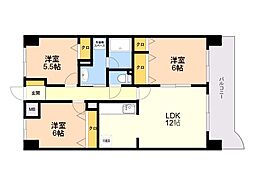 シャンポール新室見 303