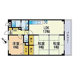 シャトレ天拝 302