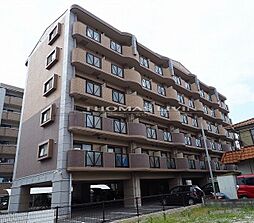 エス・テイト守恒 501