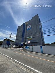 Gran Stella Nagao 703