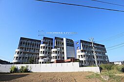 ニューガイア上石田 503