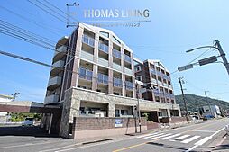 グラシューズ・エール 501