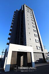 メディクレスト 308