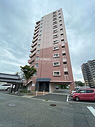 Hamiel下曽根 205