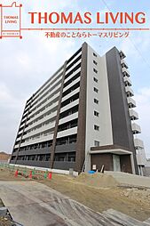 レジェンド朽網 801