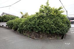 箕面市桜ケ丘3丁目 土地
