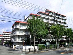 緑ケ丘サンハイツ