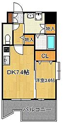 サンシャイン　プリンセス　北九州
