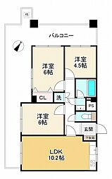 モンラヴィ青木