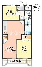 小坂プリンシア