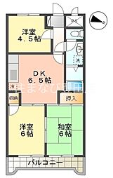 小坂プリンシア