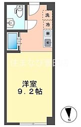 センテナリオホソヤ