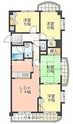 シャロン山之手 501
