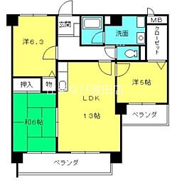 サフィニアＭＩ 305