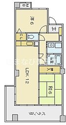 Sun Cedar 603