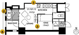 Y’s GARDEN 308