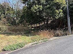 海平の郷　売土地 S-20号地