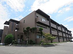 ダンデライオン 208