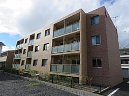 ハートフル・セイシーズ