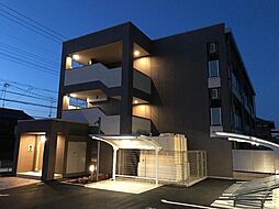 オリーブ 207