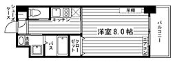 DSユニエターナ福岡伊都