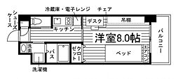 DSユニエターナ福岡伊都