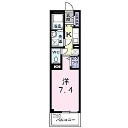 プラシード桜
