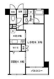 新宿区西早稲田２丁目