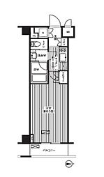 新宿区新宿７丁目