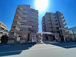 ベルドミール弐番館 301