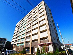 グローブ・アマランス 806