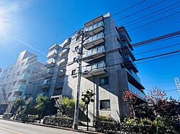 Sunny　Side　Forest 201