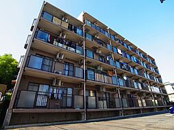 クレセール扇 505