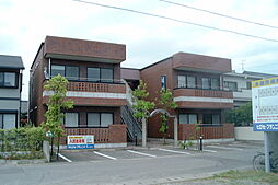 モナークカトレア 2A