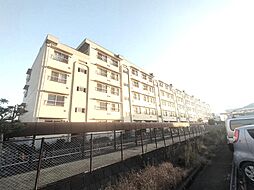 ルネ春日部　７号棟 201