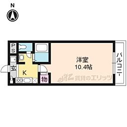 バレンシア花 107