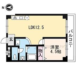 パラッツォ植物園 302